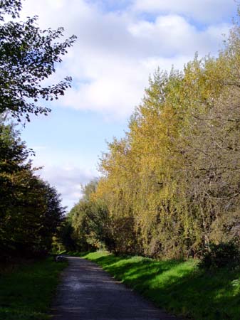 PA290005